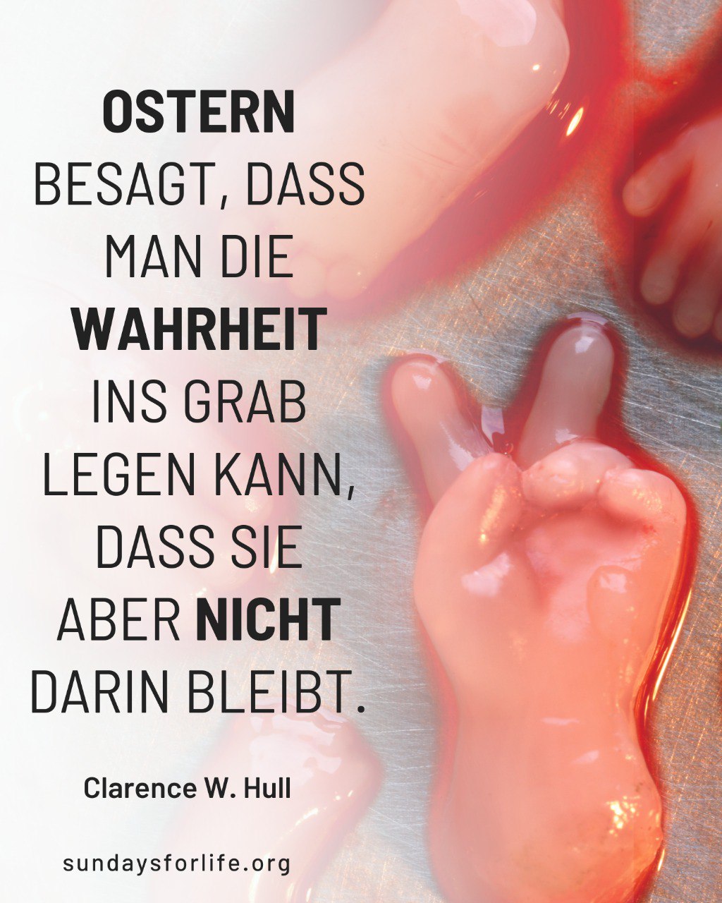 Wir wünschen euch ein schönes Osterfest.