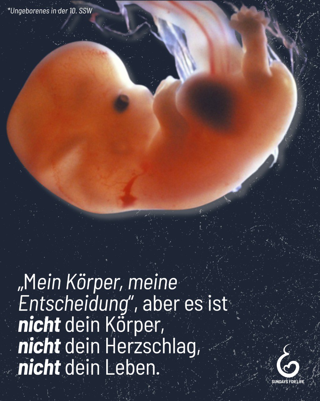 Deine Rechte enden dort, wo das Leben eines anderen beginnt.  Die Abhängigkeit des Ungeborenen ist keine Rechtfertigung, es abtreiben zu dürfen. Willkürliche Kriterien machen uns nicht mehr oder weniger Mensch. Mit der Befruchtung beginnt ein Menschenleben, das ein Recht auf Leben verdient hat unabhängig von seiner Größe und Fähigkeit.