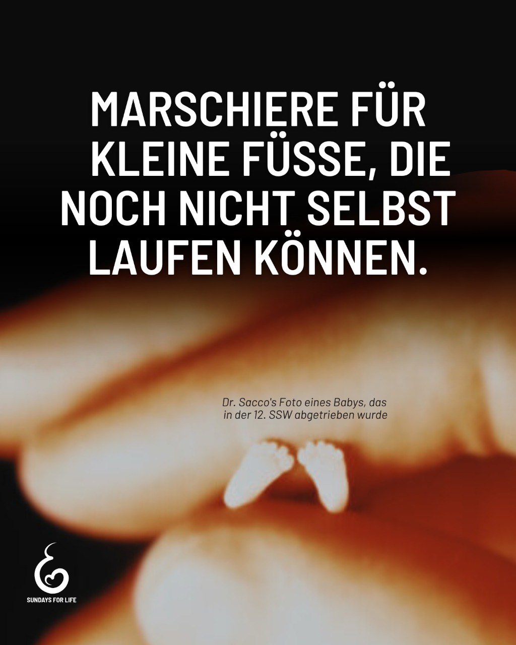 SAVE THE DATE! 2025 findet der Marsch für das Leben statt – am Samstag, den 20.09.2025, ab 13:00 Uhr in Köln (Neumarkt) und Berlin (Washingtonplatz/Hauptbahnhof).